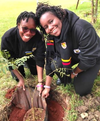 Tree Planting