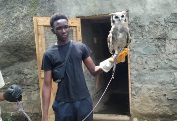 Bradley Omune carrying Owl